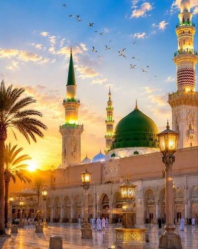 المدينة المنورة